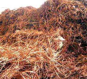 Non-Ferrous – Copper 3